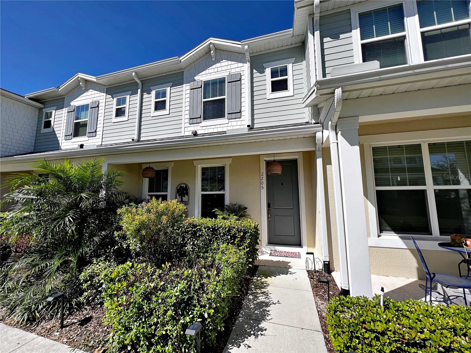 2205 GOPHER TORTOISE TER