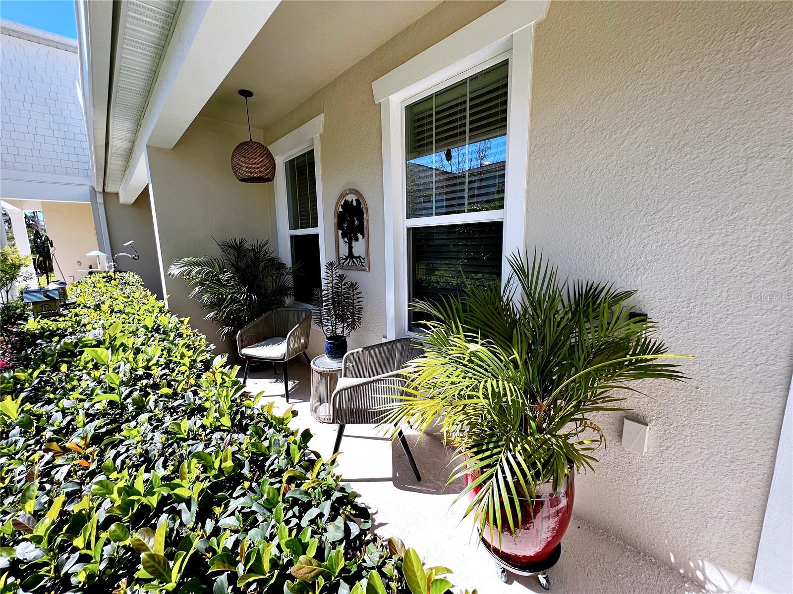 2205 GOPHER TORTOISE TER