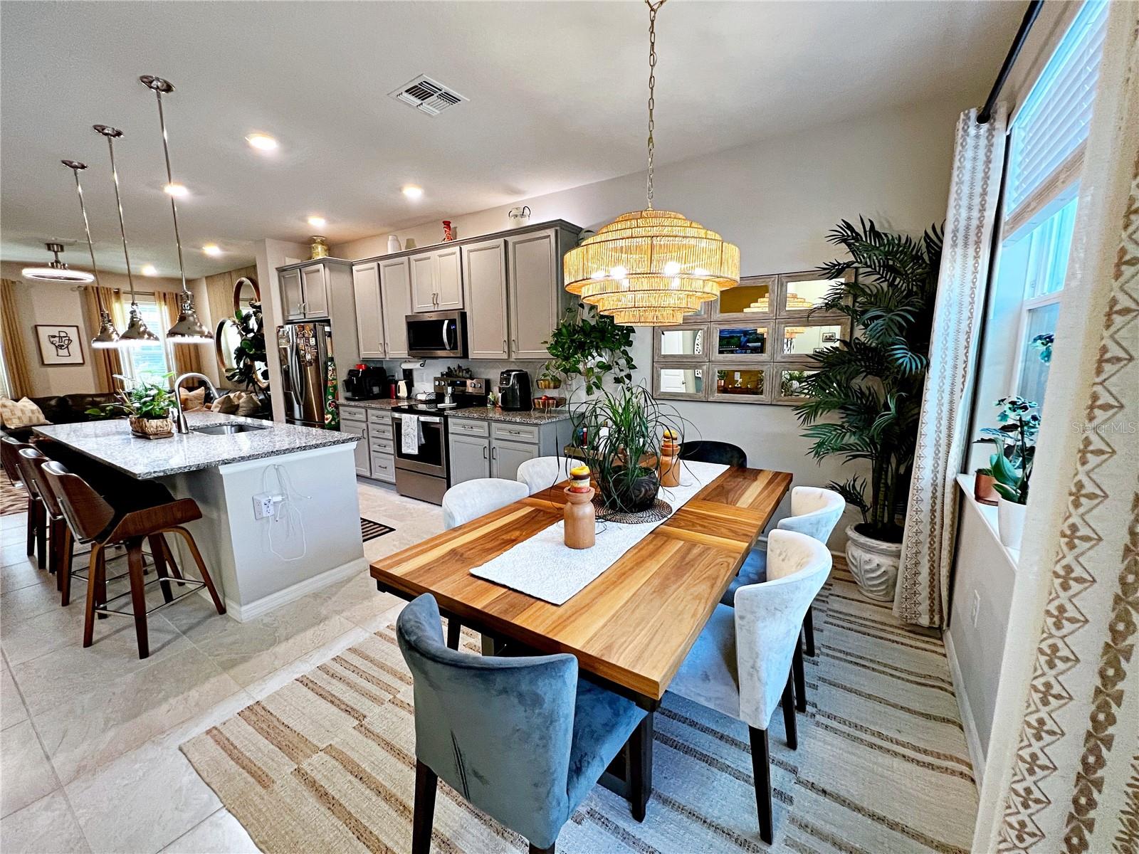 2205 GOPHER TORTOISE TER