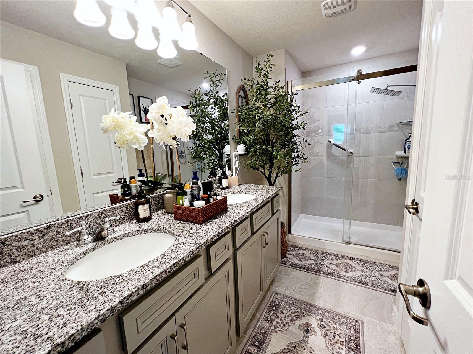 2205 GOPHER TORTOISE TER