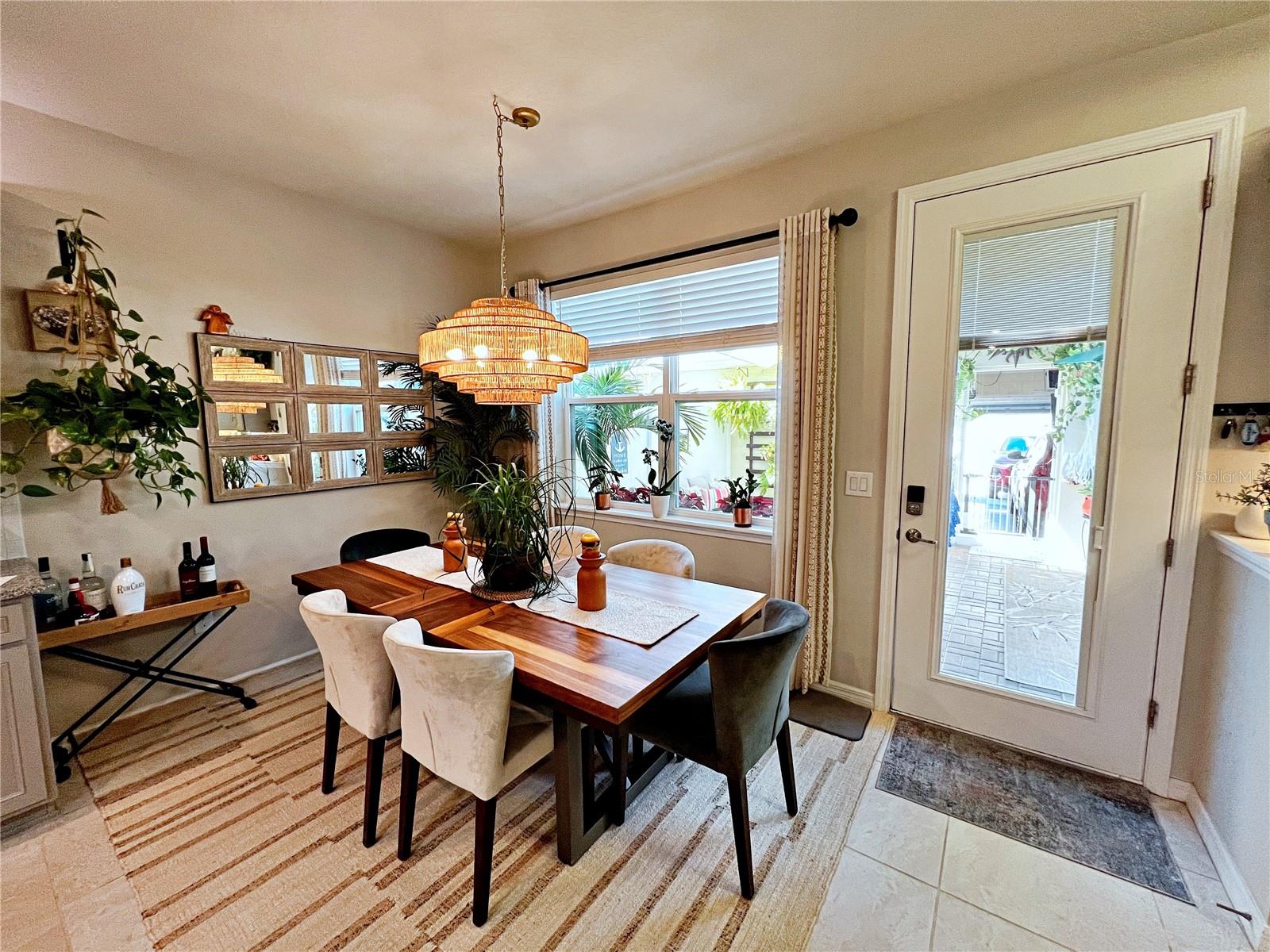 2205 GOPHER TORTOISE TER