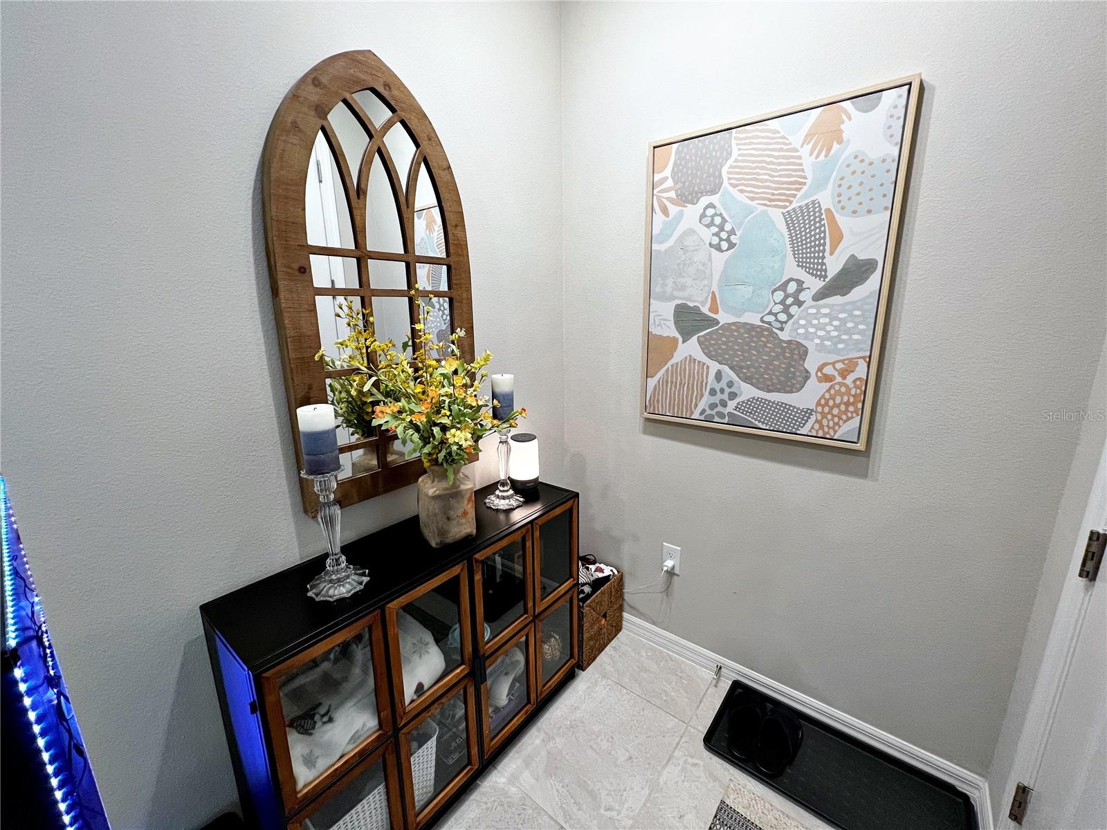 2205 GOPHER TORTOISE TER