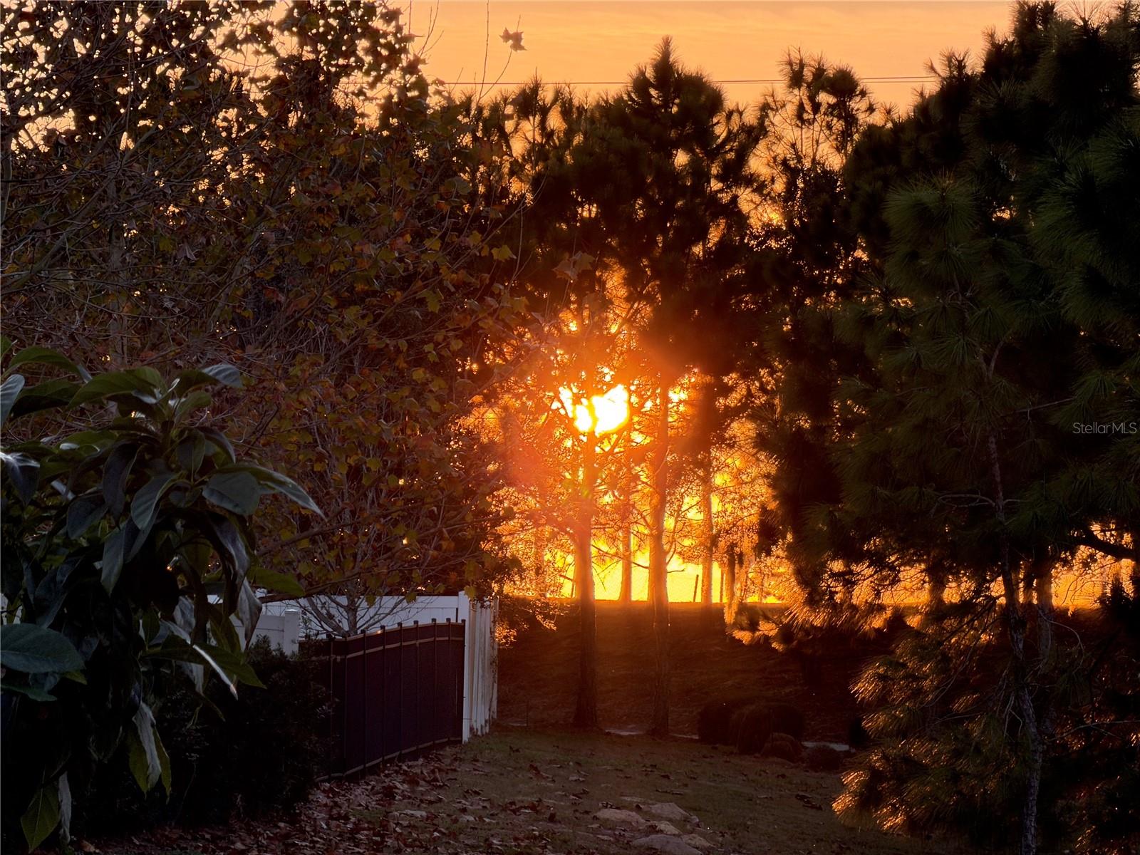 6154 HAMLIN RESERVE BLVD