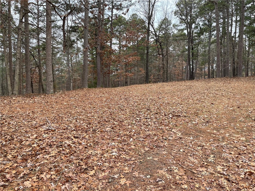 Eagle Ridge Lane
