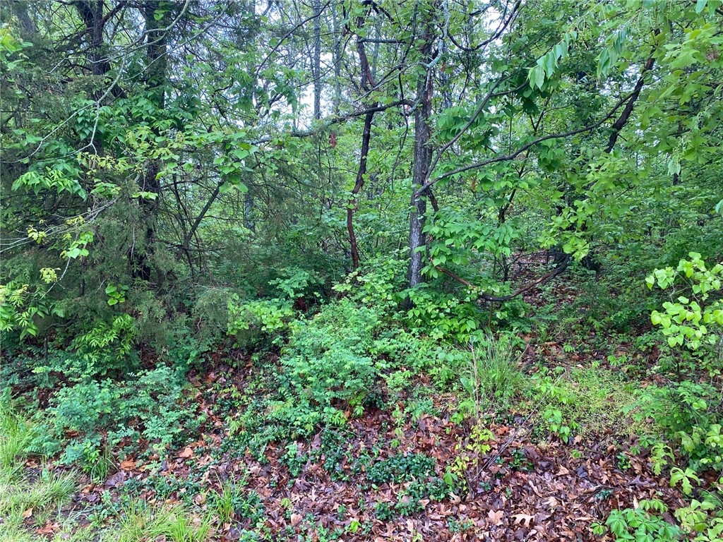 Cargill Drive