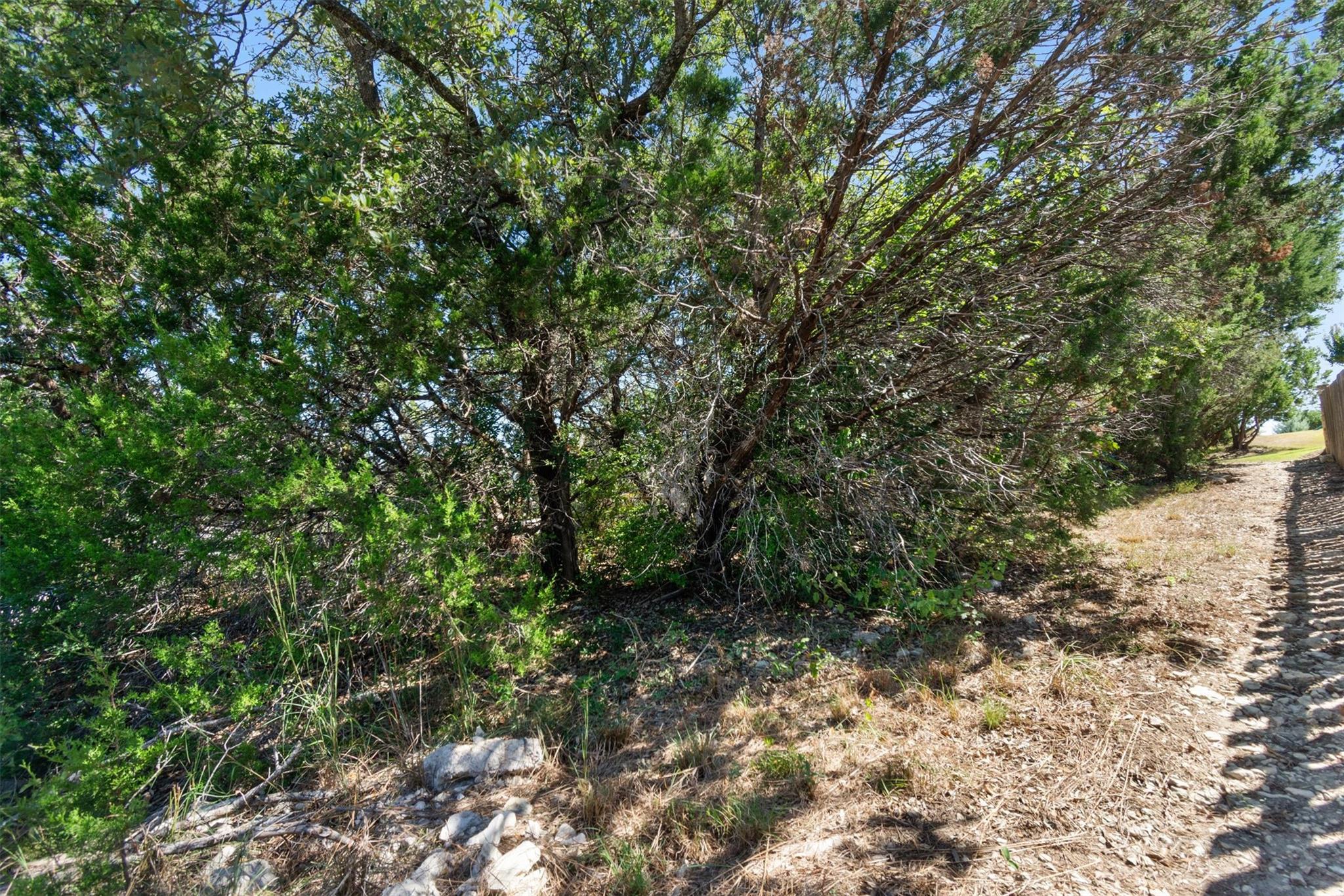 15225 Dave DR