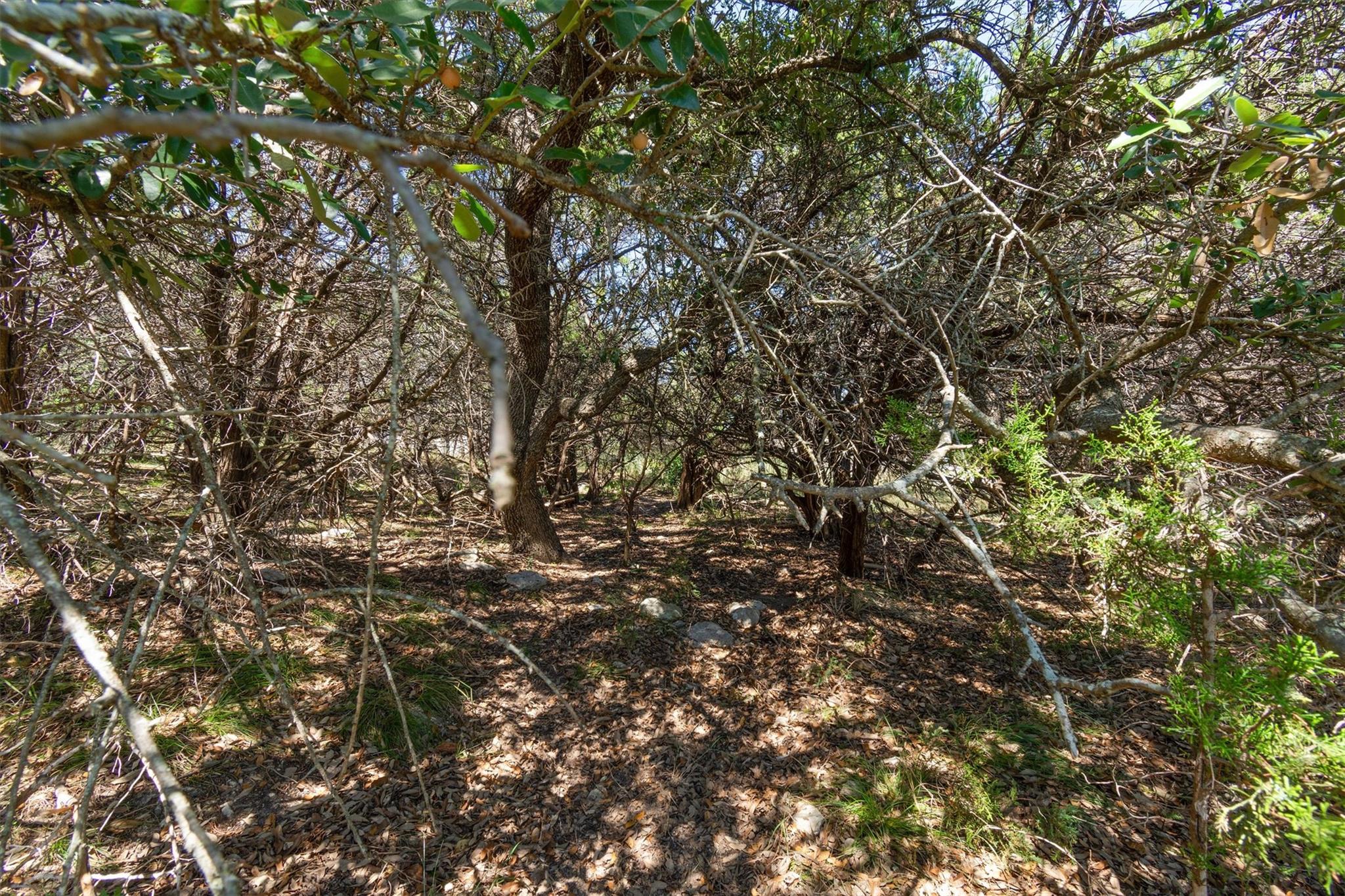 704 Palos Verdes DR