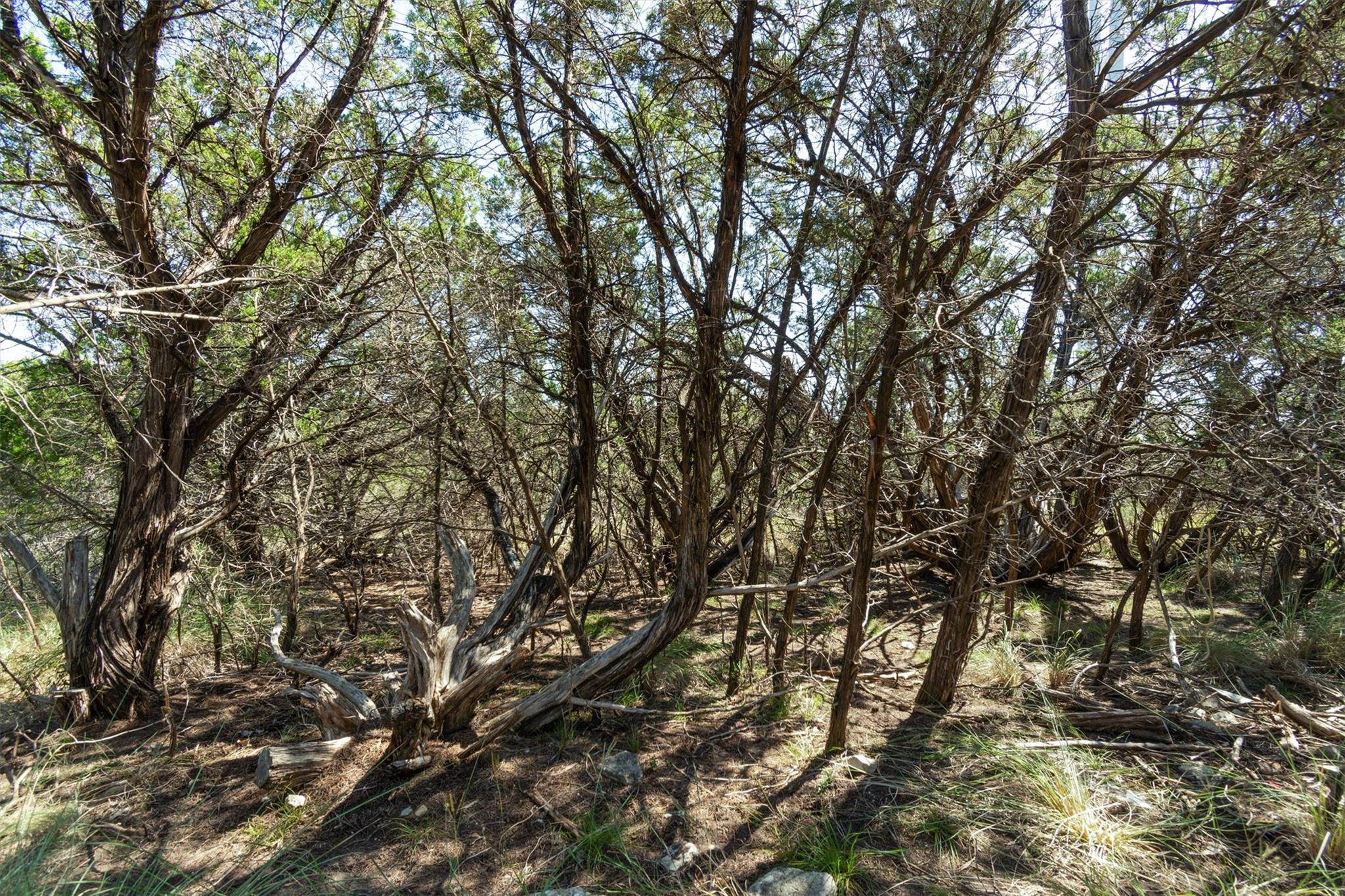 704 Palos Verdes DR