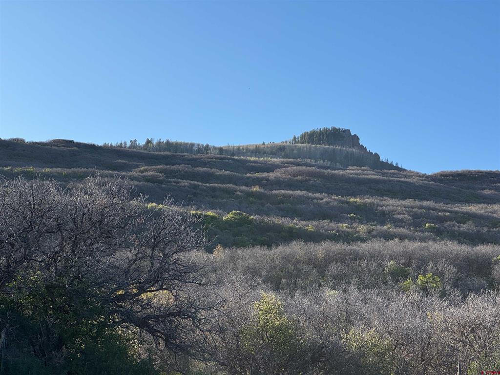 Tract 41 Deadwood Trail
