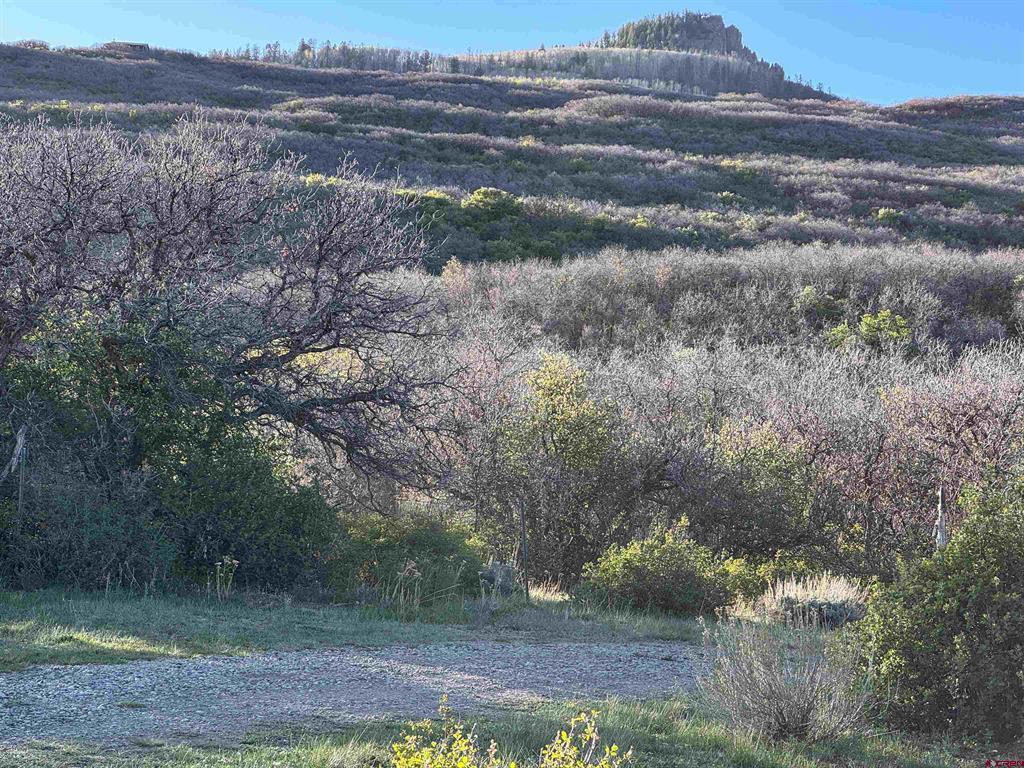 Tract 41 Deadwood Trail