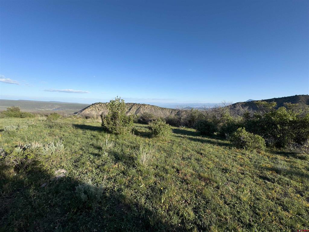 Tract 41 Deadwood Trail