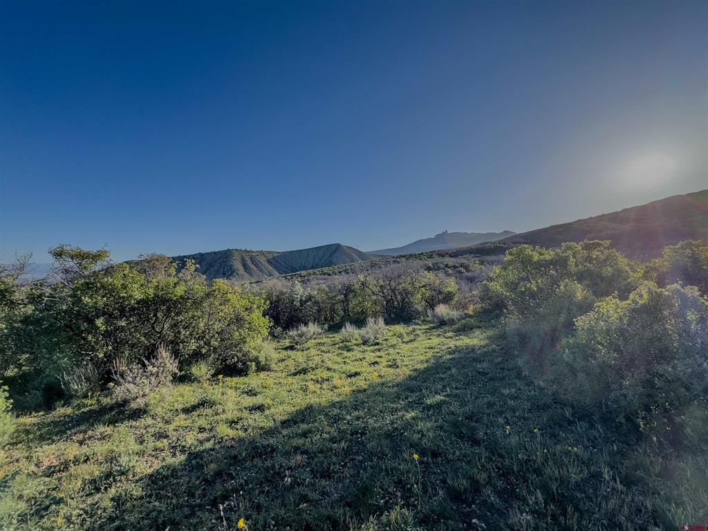 Tract 41 Deadwood Trail