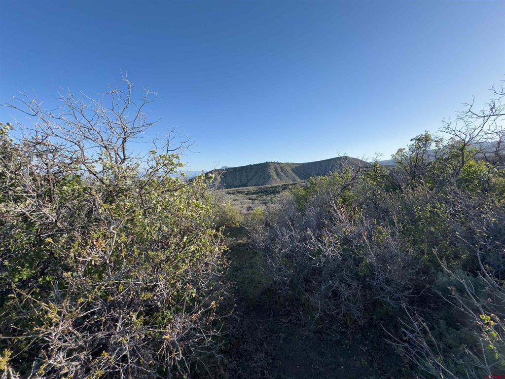 Tract 41 Deadwood Trail