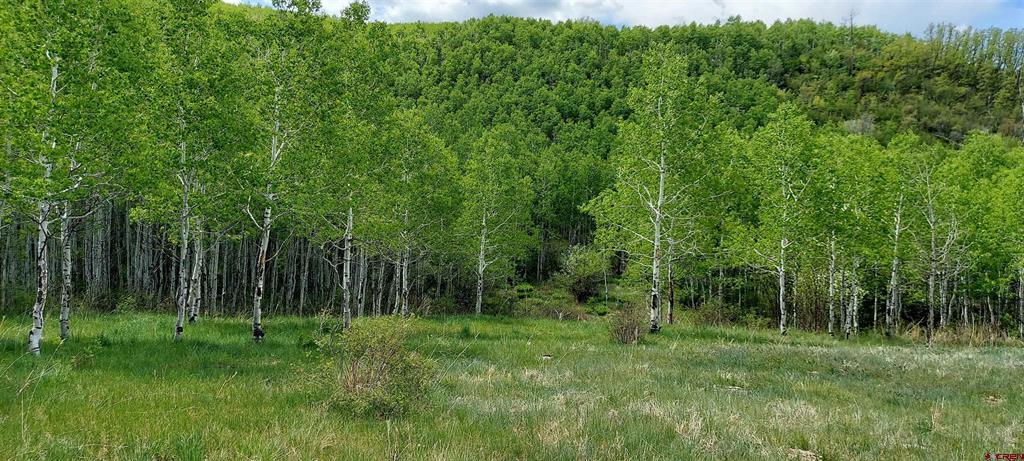 TBD Highway 133