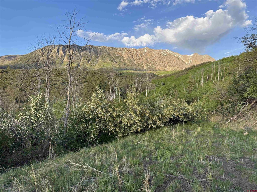 TBD Highway 133