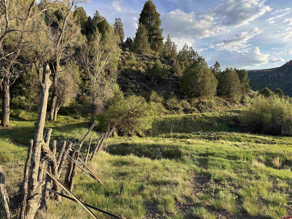 TBD Highway 133