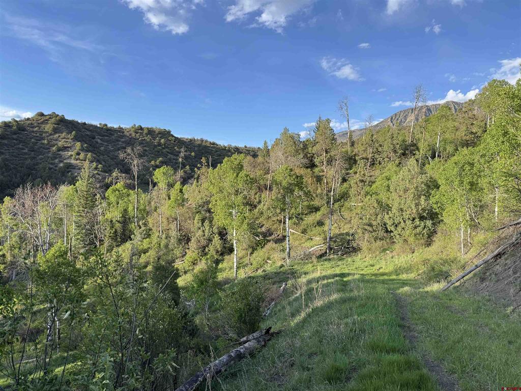 TBD Highway 133