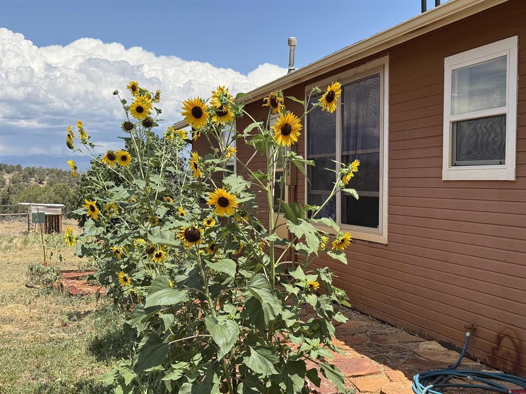 38763 Fruitland Mesa Road