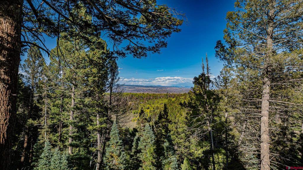 160 Crest Drive
