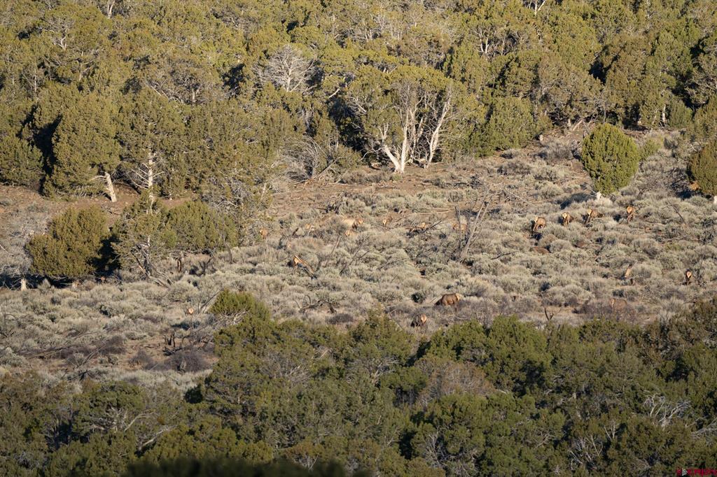 37248 Stucker Mesa Road