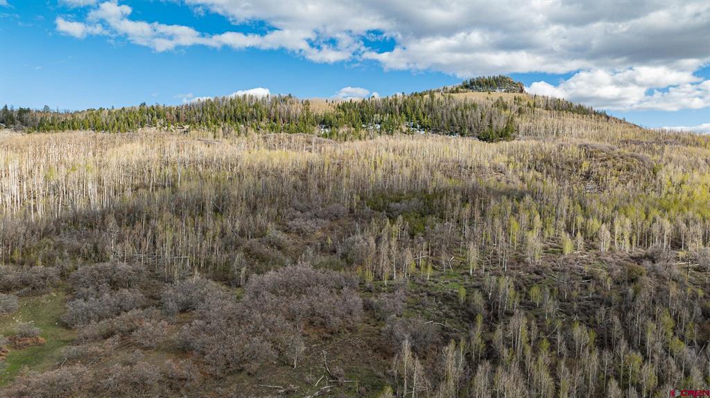 83880 Elk Ridge Trail