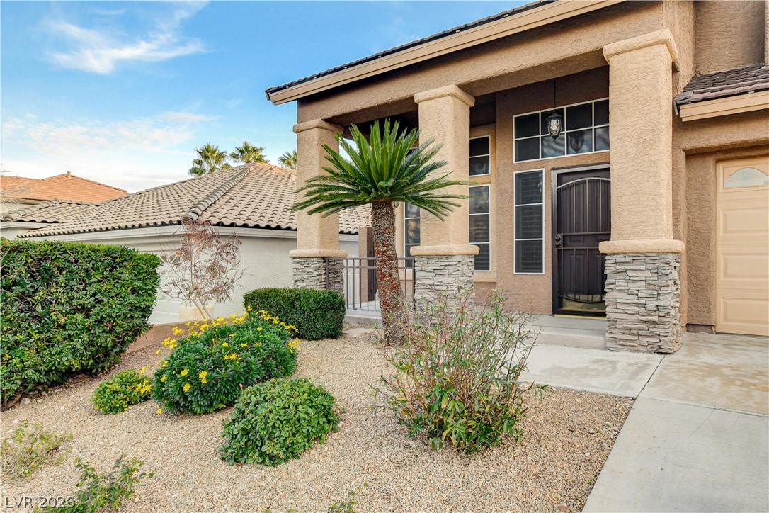 10133 Hill Country Avenue