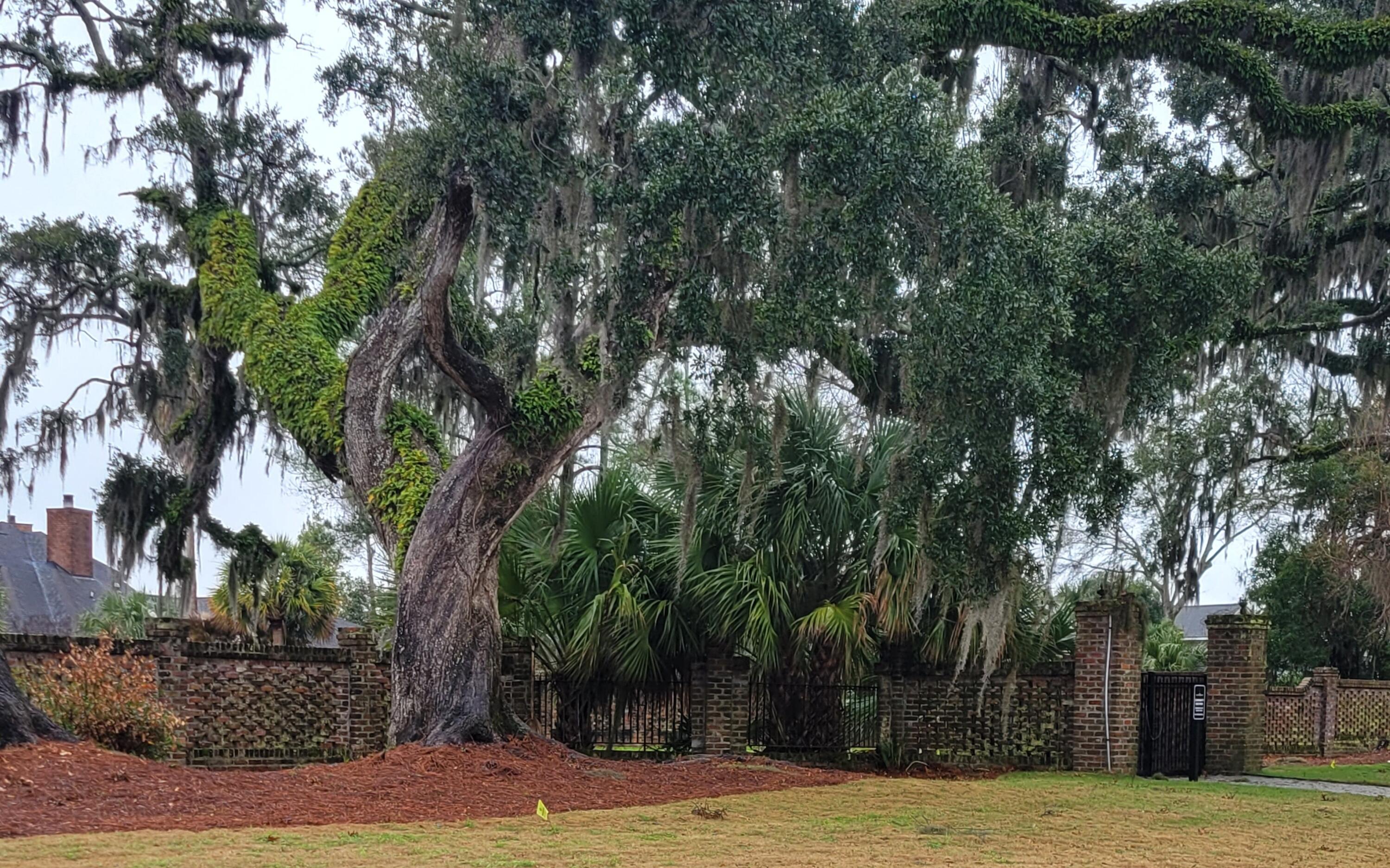 1015 Teracotta Drive Lot 29