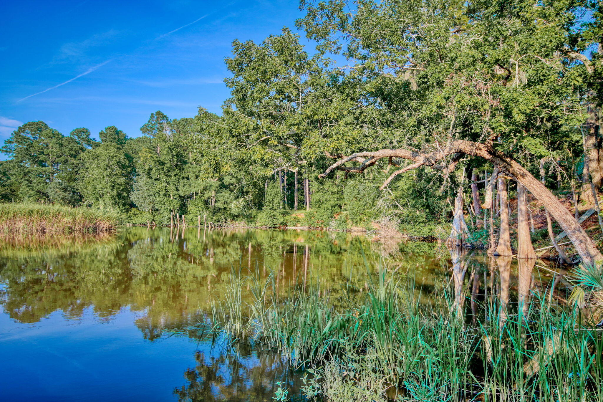 205 Fiddlers Loop