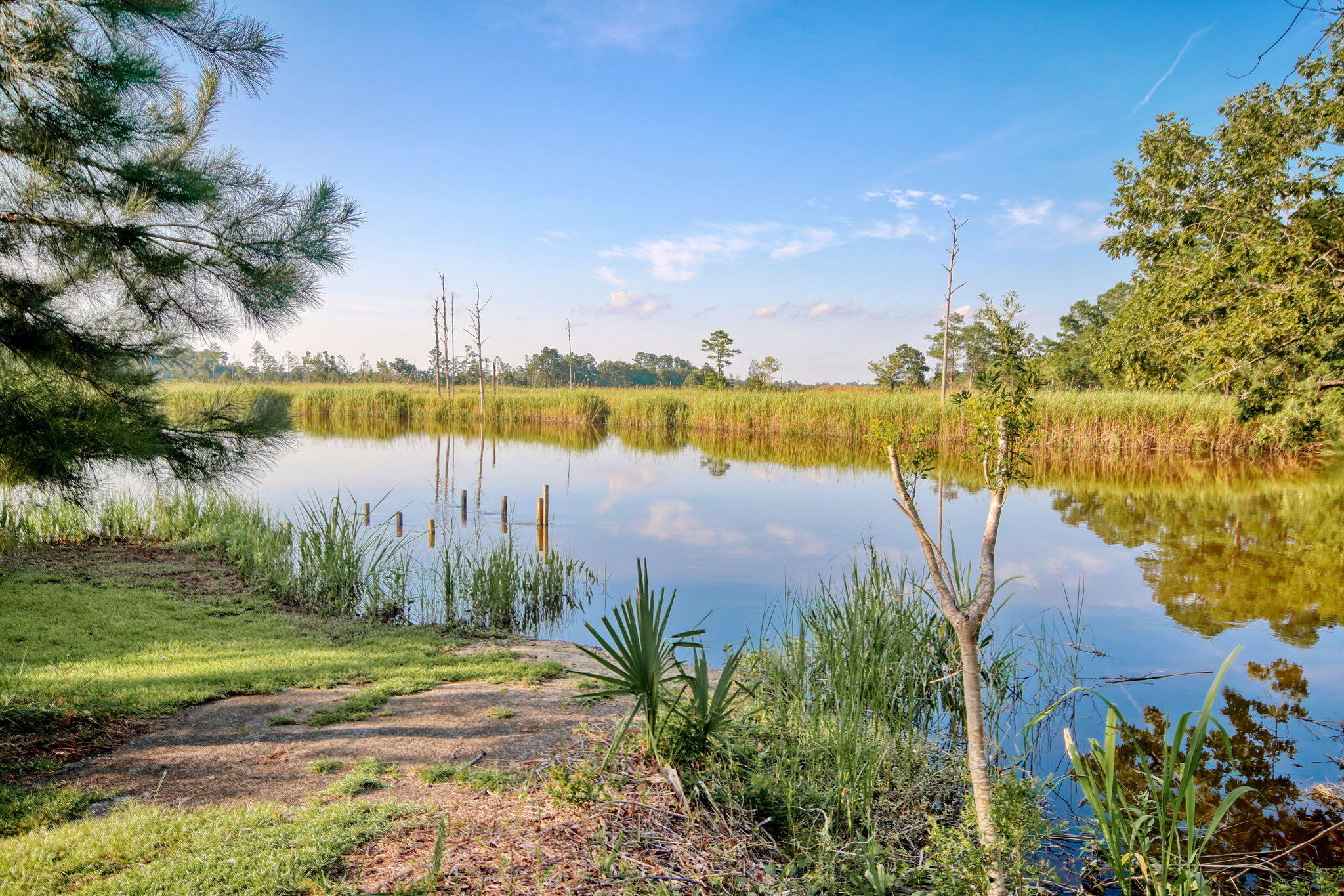 205 Fiddlers Loop