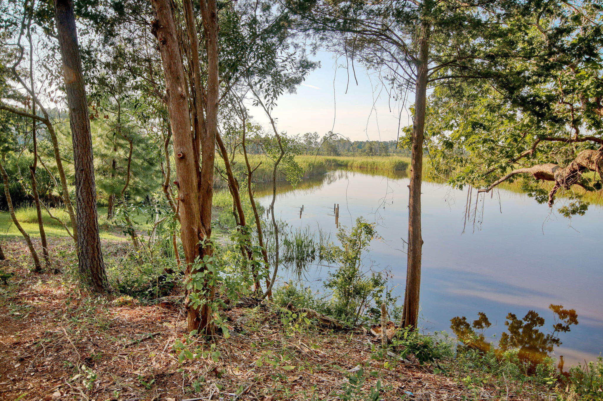 205 Fiddlers Loop
