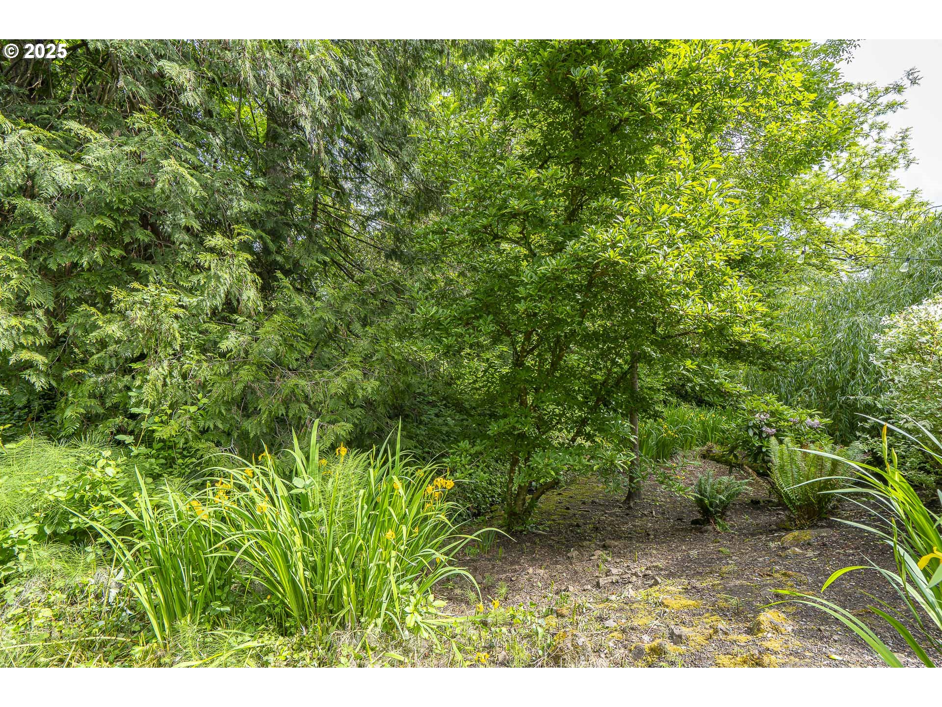 14411 SE UPPER ALDERCREST DR