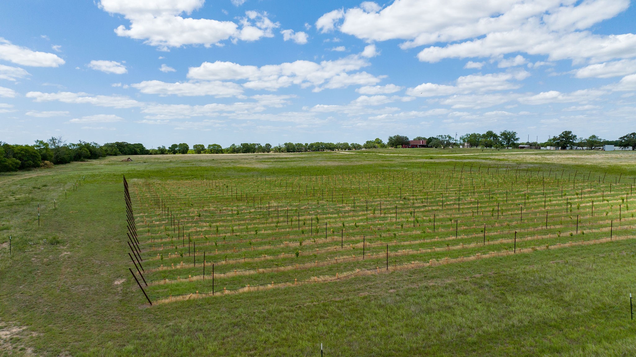 8526 N Fm 1744