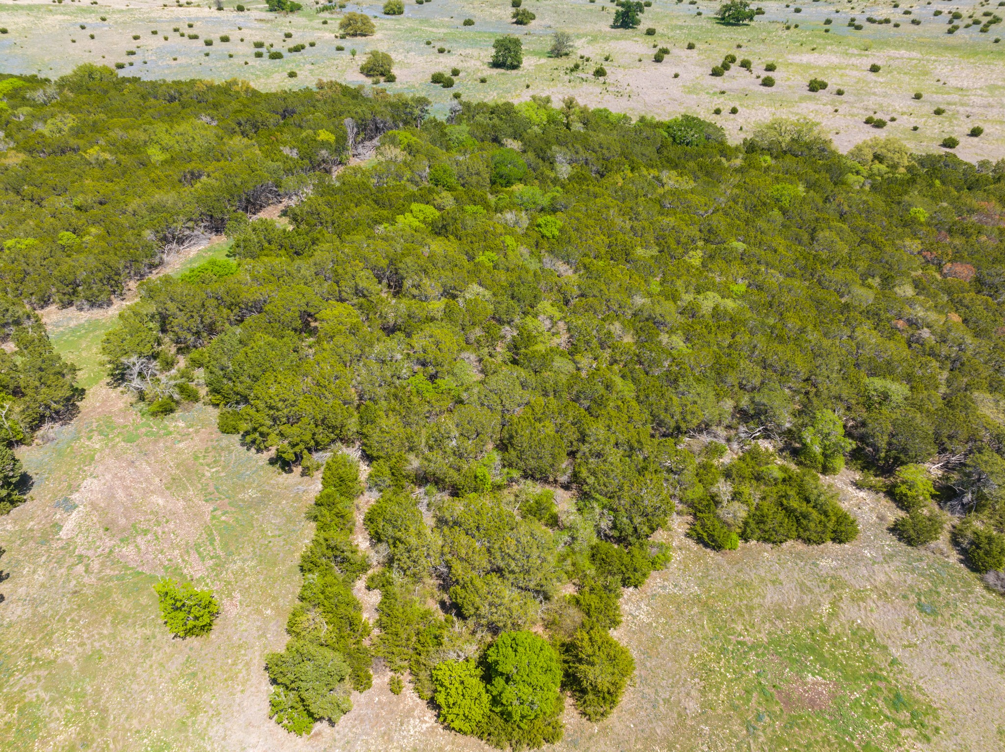 TBD County Road 2140