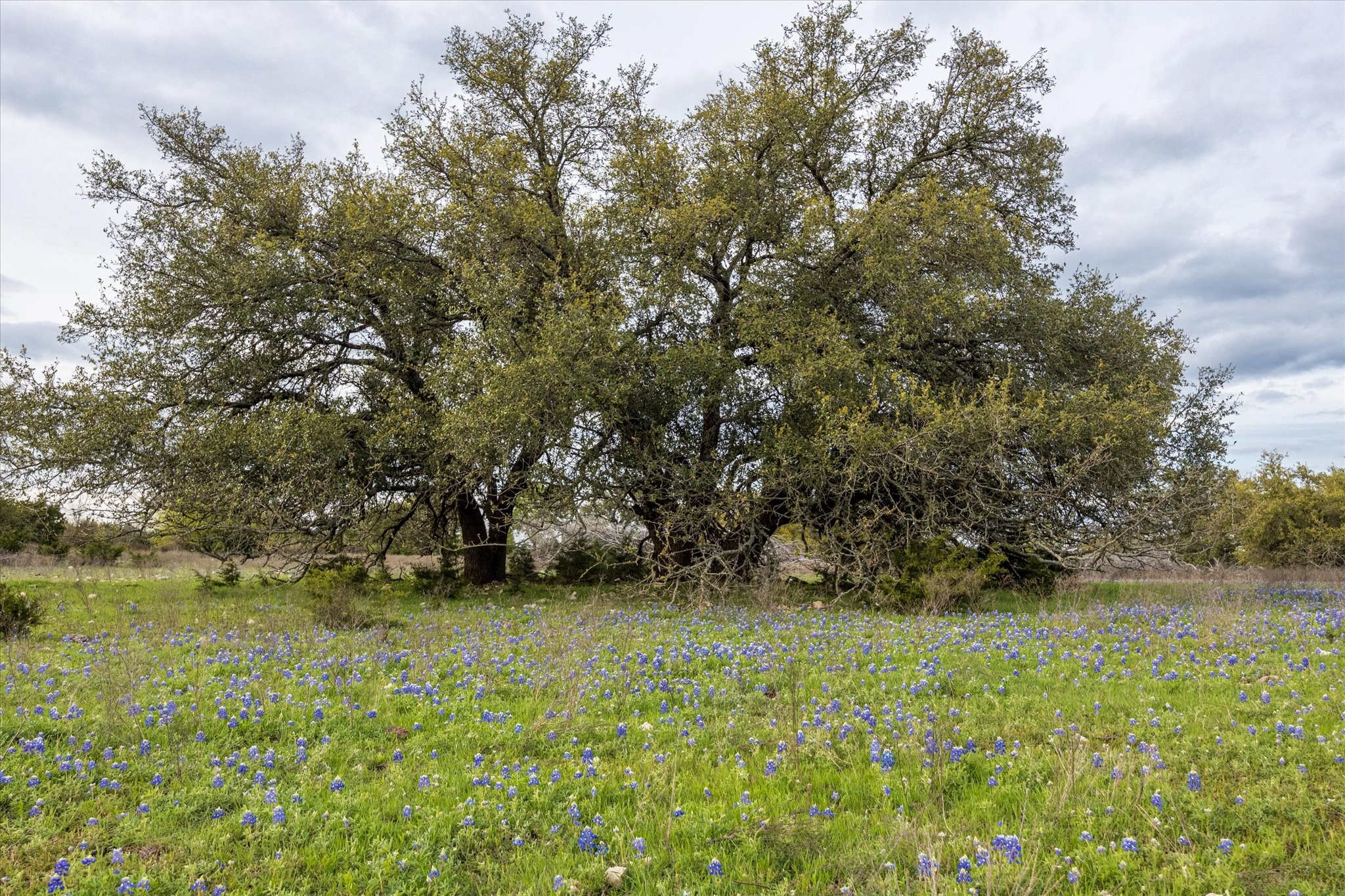 1434 County Road 2130