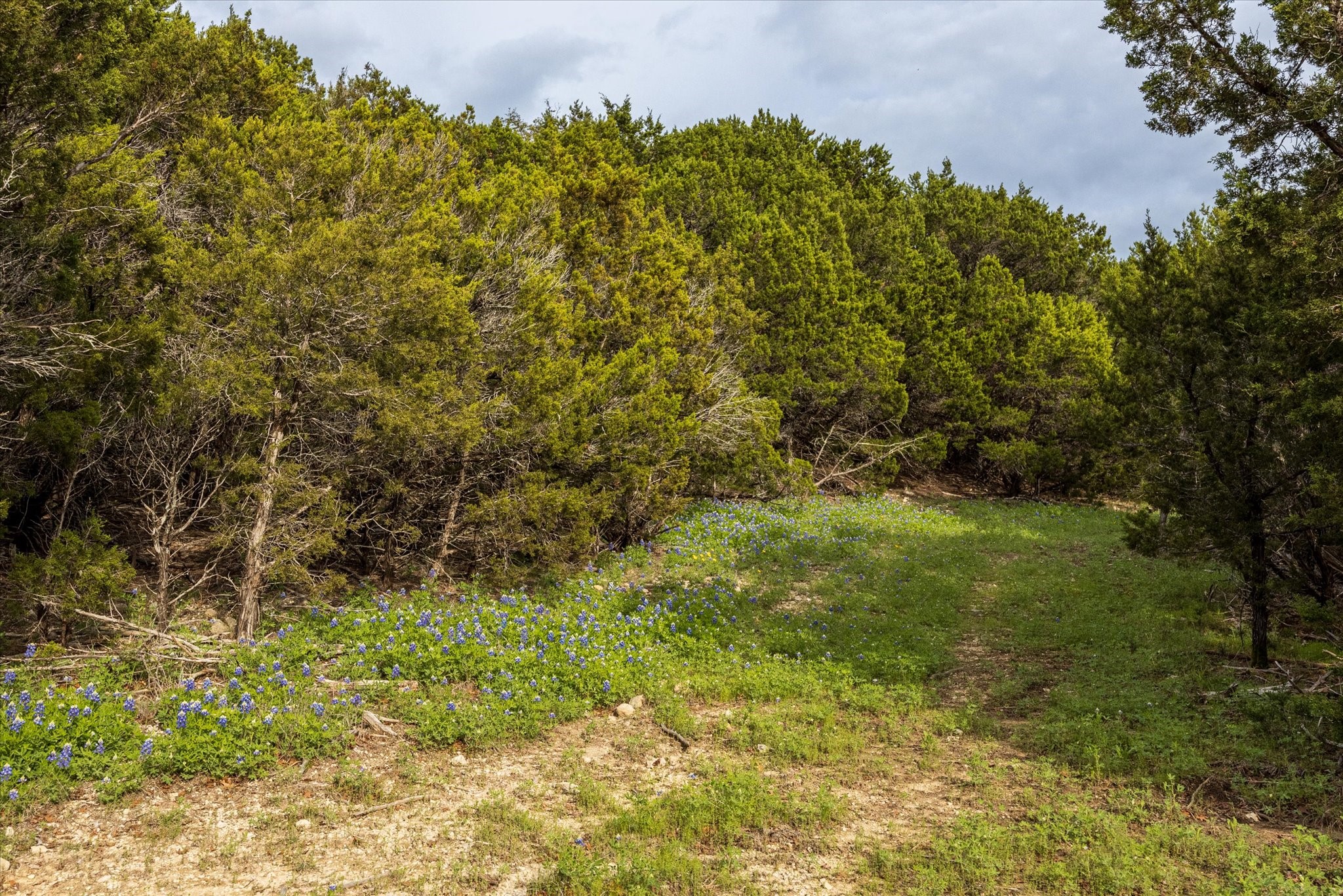 1434 County Road 2130 (75)