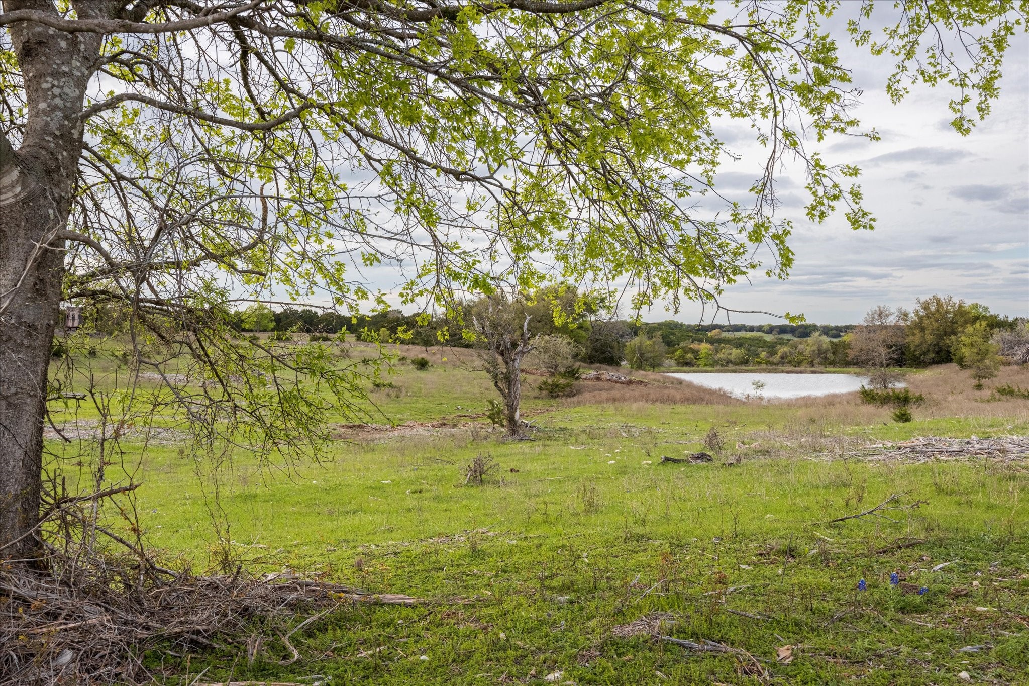 1434 County Road 2130 (75)
