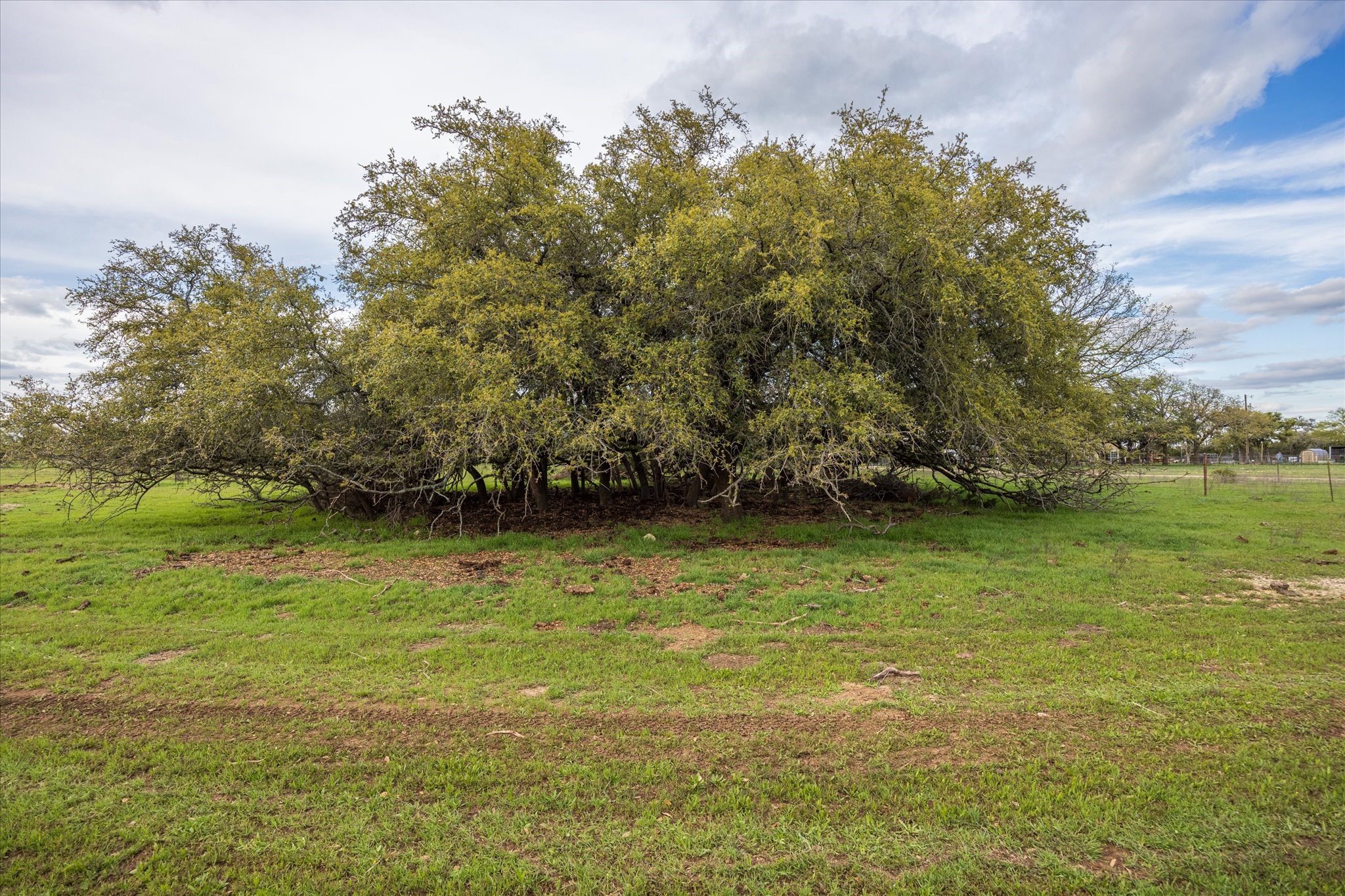 1434 County Road 2130 (75)