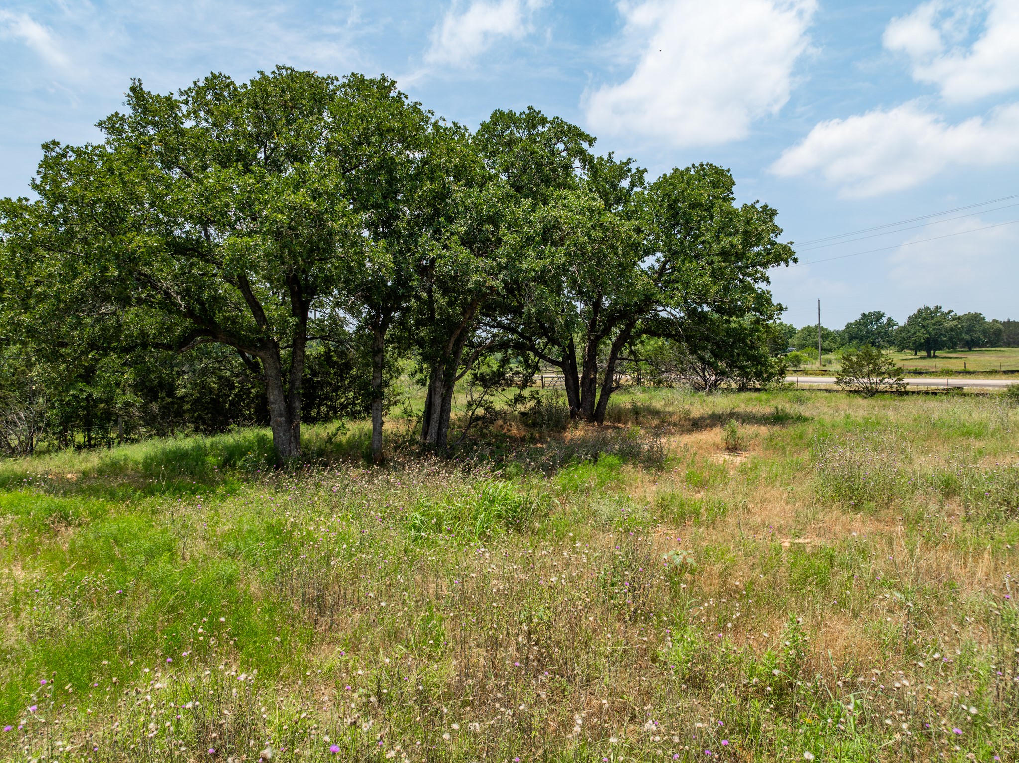 16711 State Highway 6