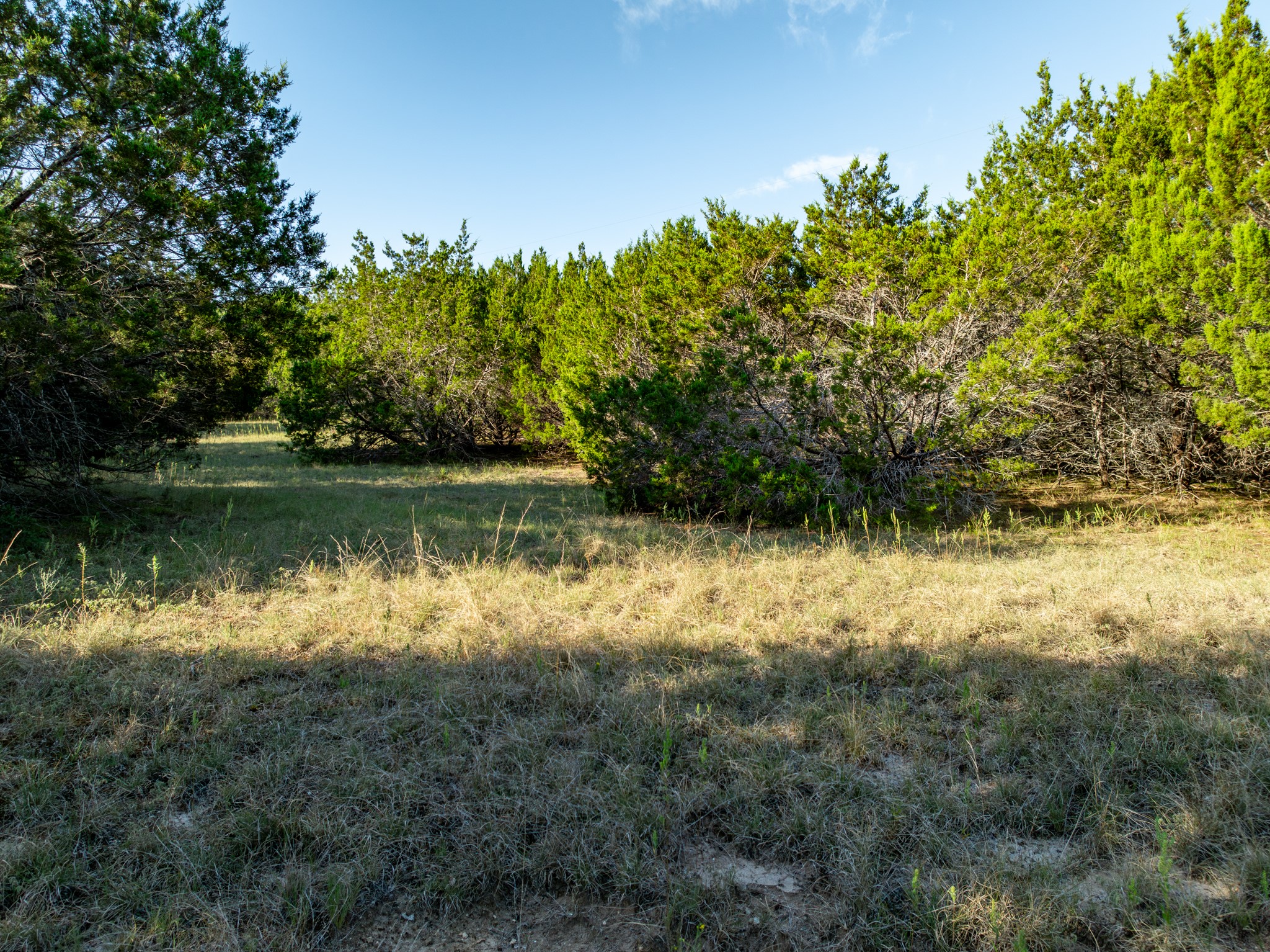 TBD Tx-6