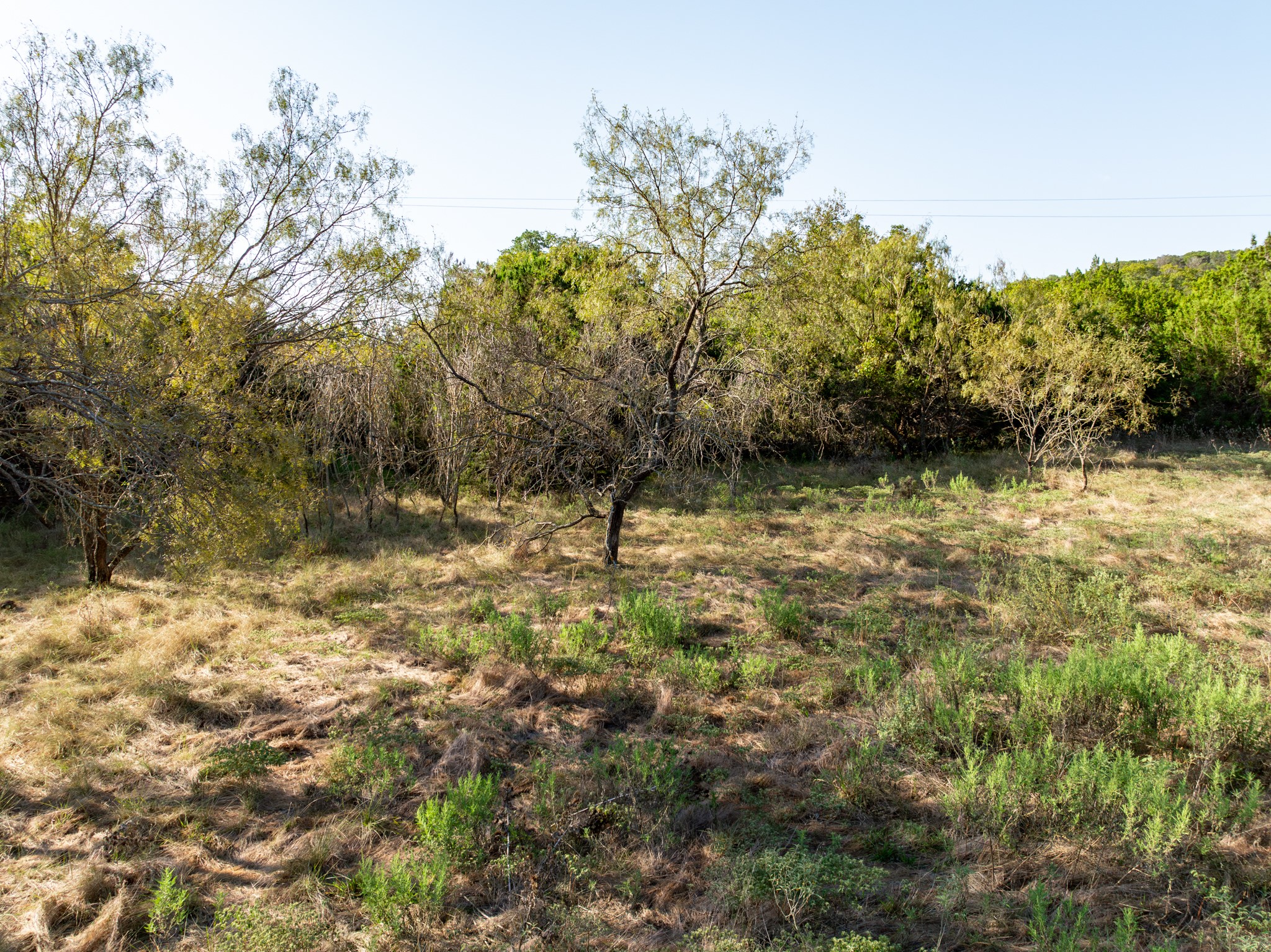 TBD Tx-6