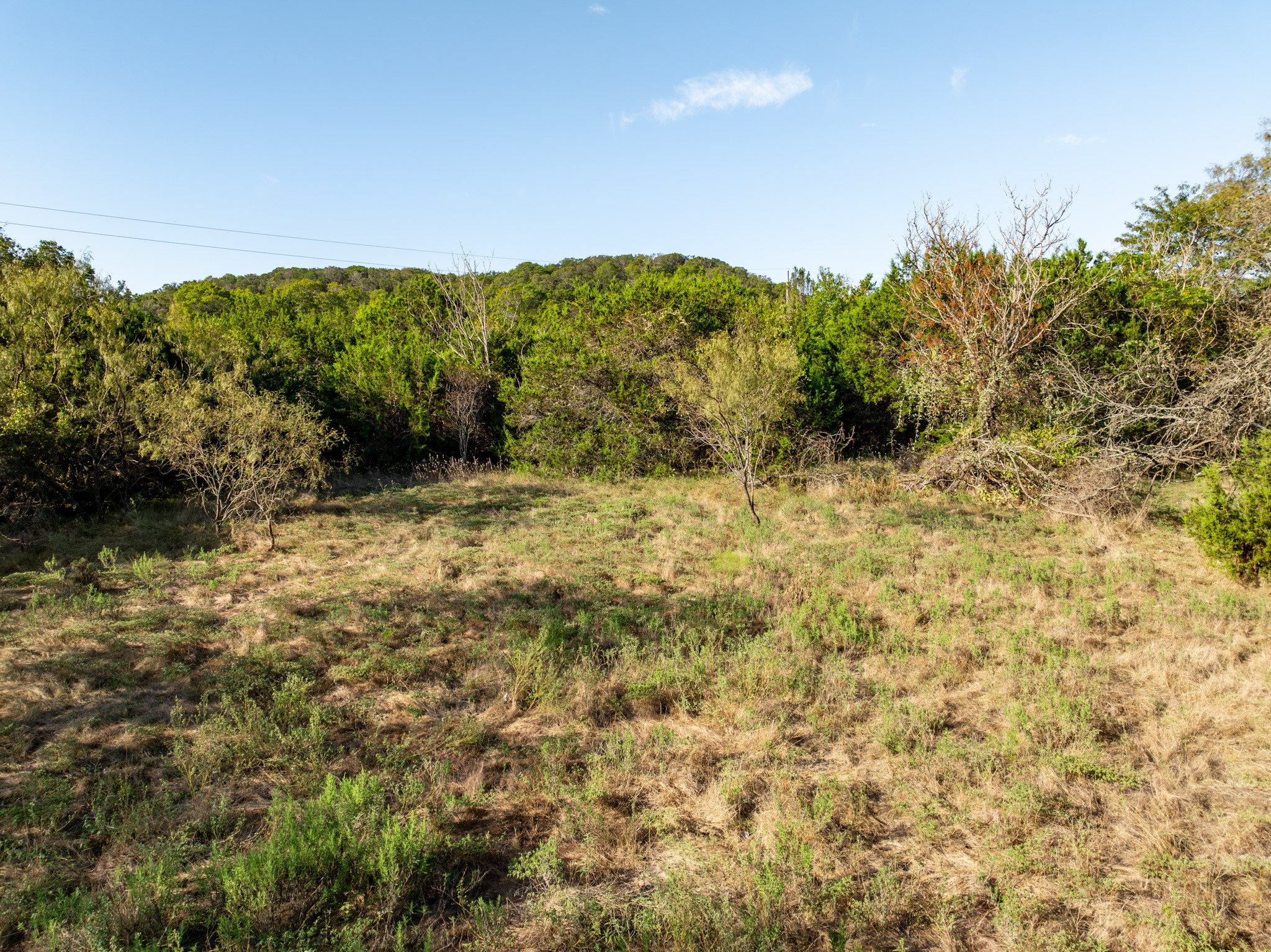 TBD Tx-6