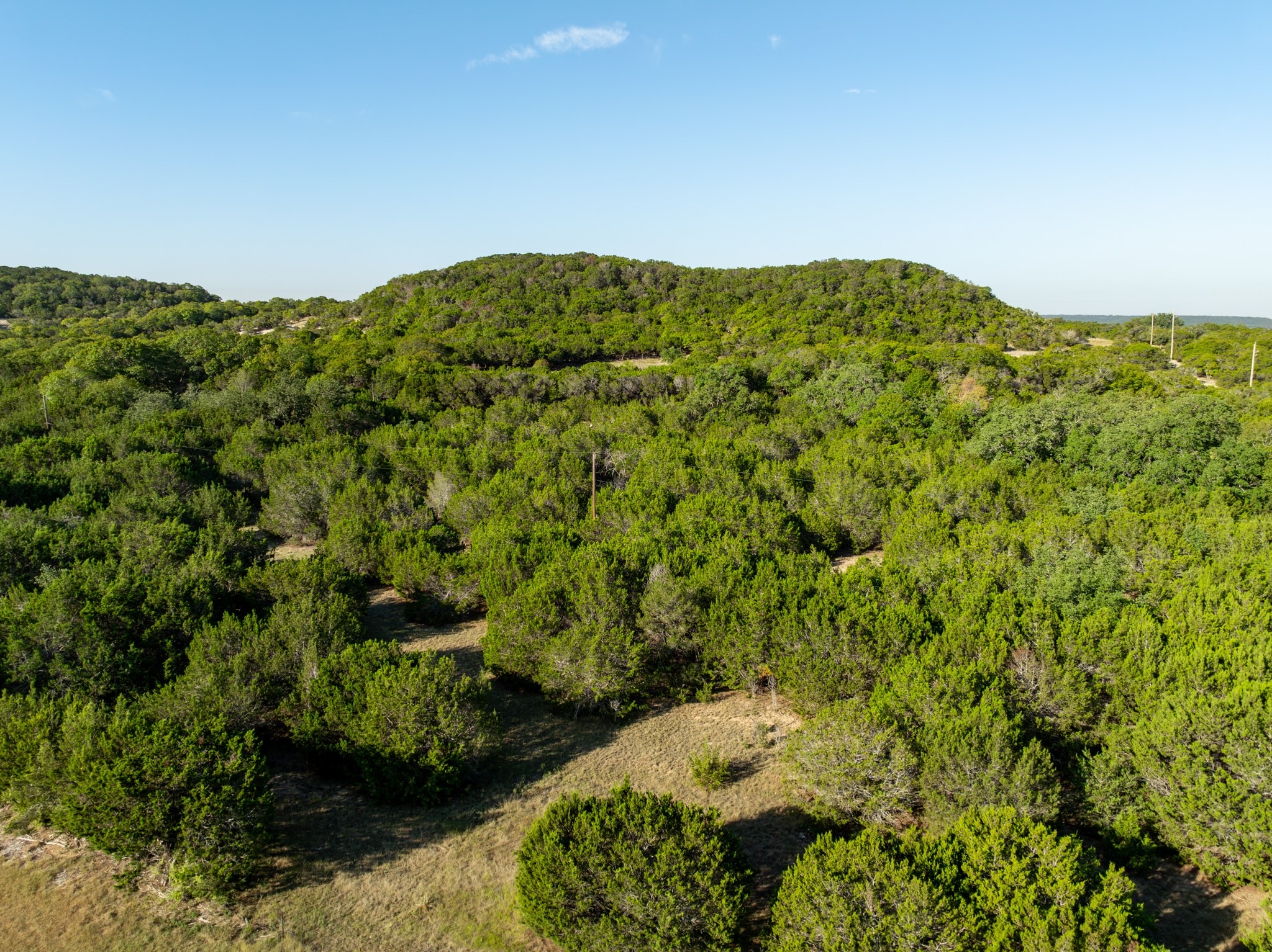 TBD Tx-6