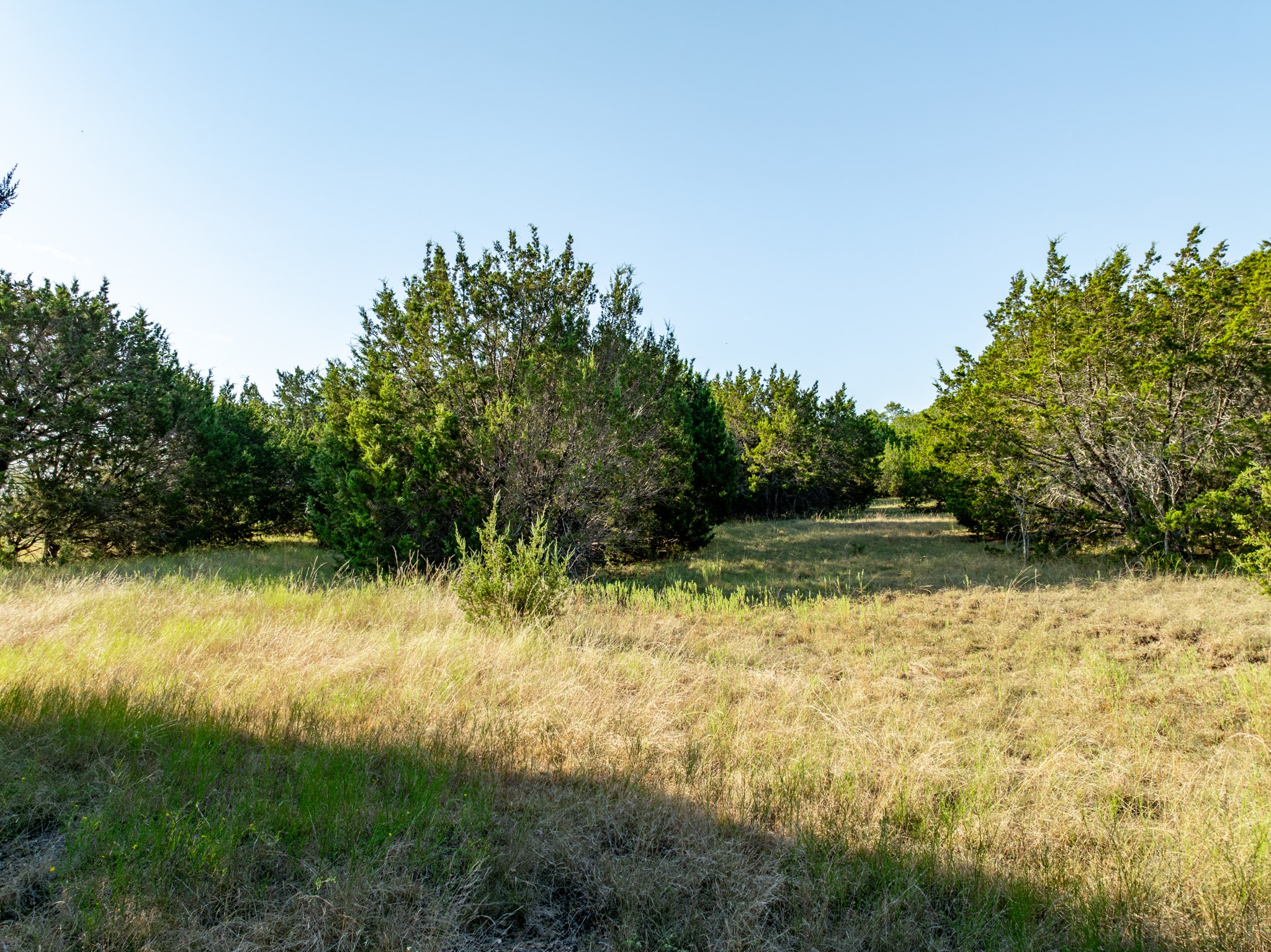 TBD Tx-6