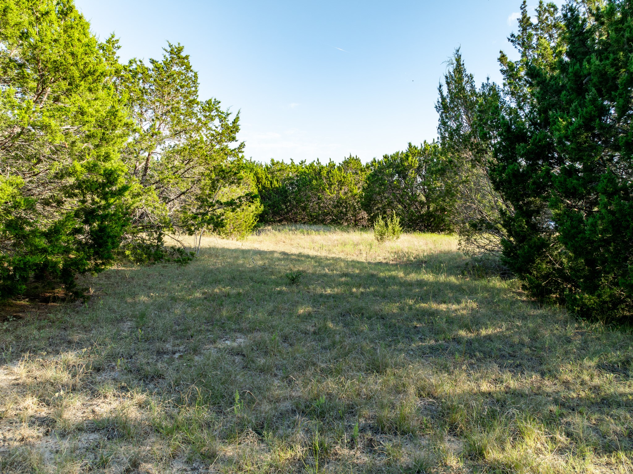 TBD Tx-6