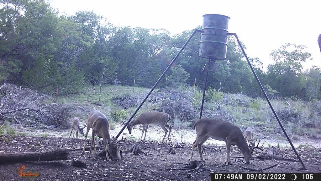 TBD Private Road 2131