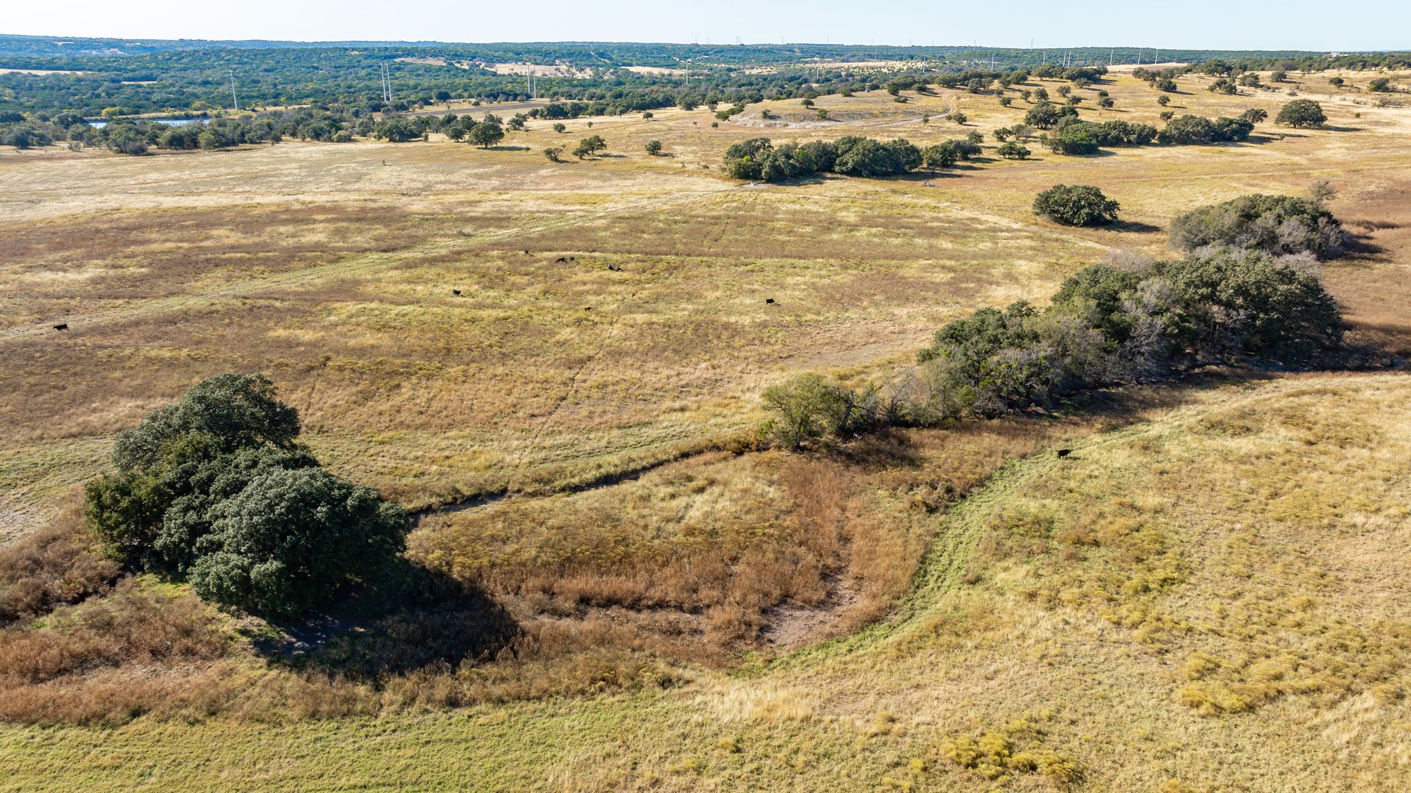 TBD County Road 2130