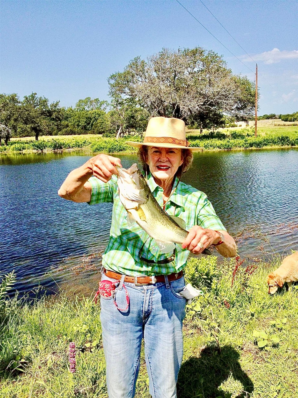 5777 County Road 309