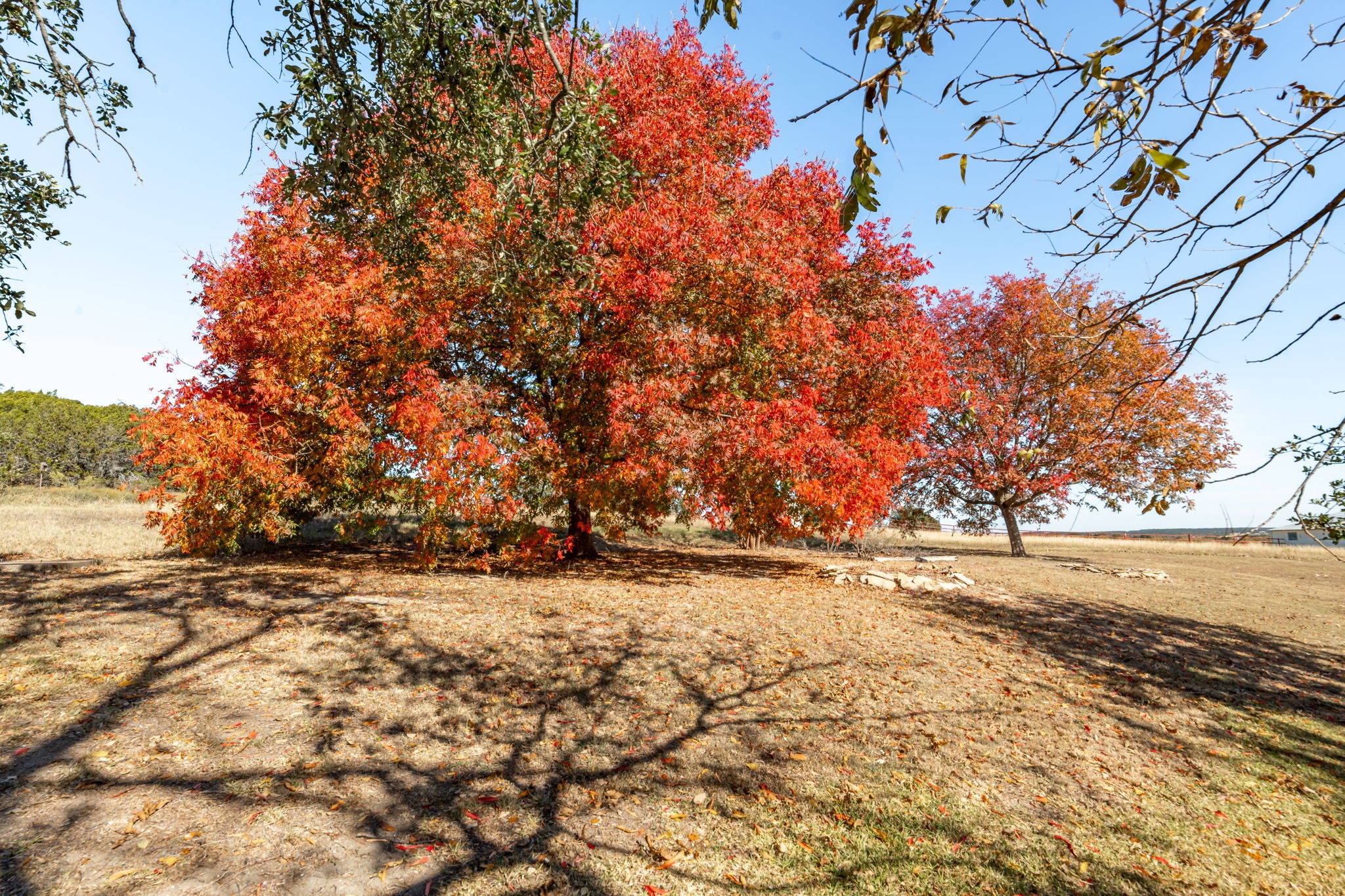 5777 County Road 309