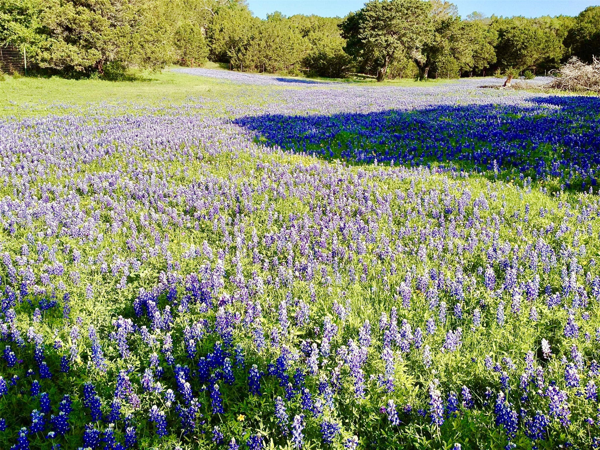 5777 County Road 309