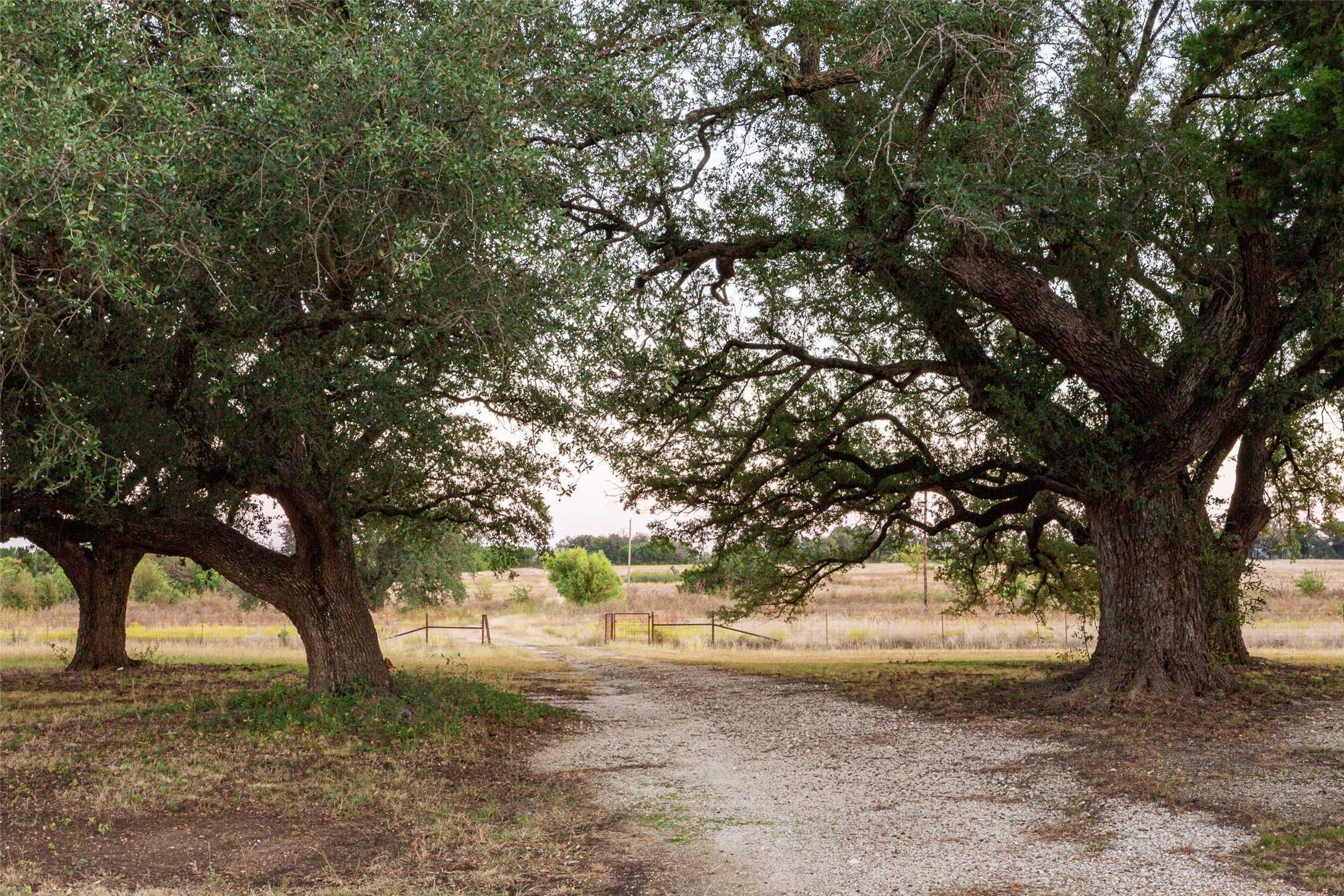 5770 County Road 309